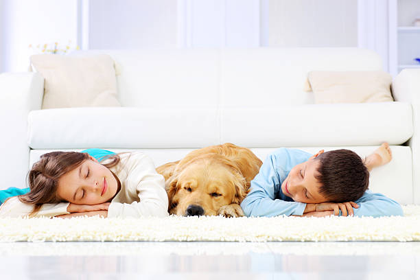 Safe for Kids, Safe for Pets in Johnson County Homes