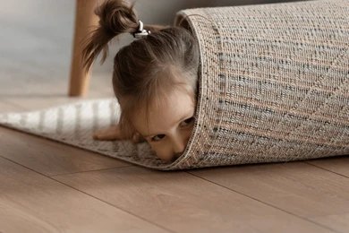 Eco-friendly carpet cleaning