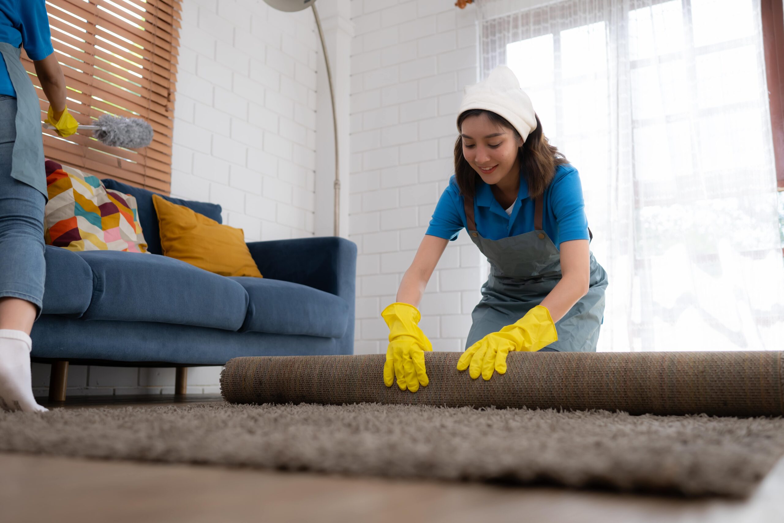 Pet stain removal Kansas City