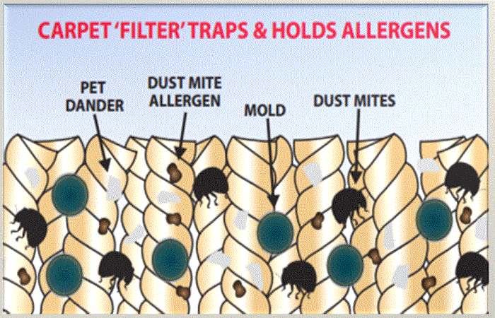 carpet filter